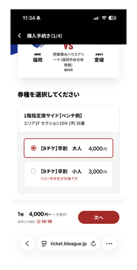 選択した席の確認＆券種の選択
